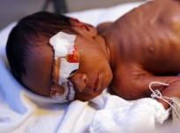 Infant