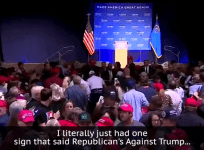 Trump protester kicked and punched for holding Republicans against Trump sign