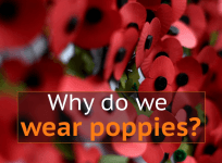 Why do people wear poppies to mark Armistice Day in the UK?