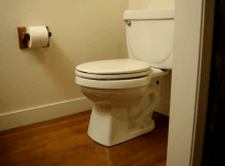 From the toilet to the tank: Biofuels from sewage