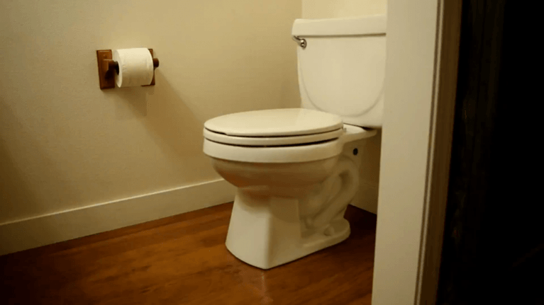 From the toilet to the tank: Biofuels from sewage