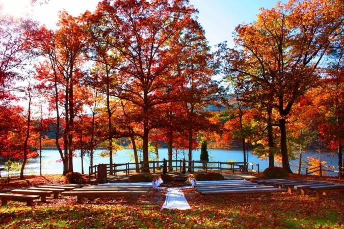Fall/Winter weddings Fall/Winter