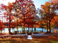 Fall/Winter