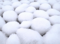 Russia: Natural snowballs appear on beaches in rare phenomenon