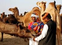 Rajasthan