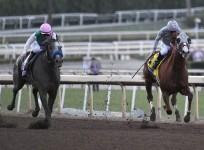 Horse racing