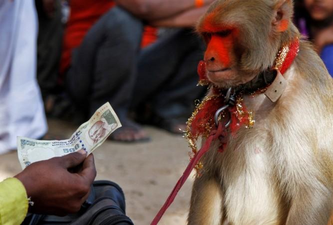 India rupee