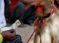India rupee