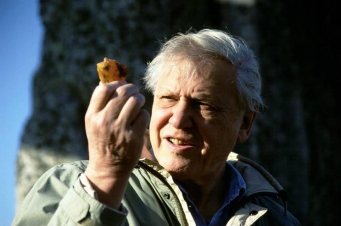 Planet Earth sequel released after ten years David Attenborough