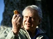 David Attenborough