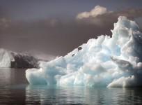 Iceberg