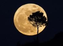 How the mega supermoon had people transfixed all over the world