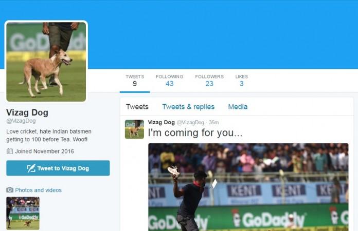 dog twitter