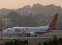 spicejet, AGM, share price, ajay singh, plf, market share, dgca
