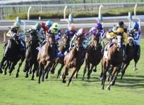 Horse racing