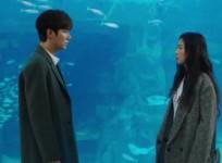 Legend Of The Blue Sea