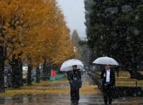 Tokyo snowfall