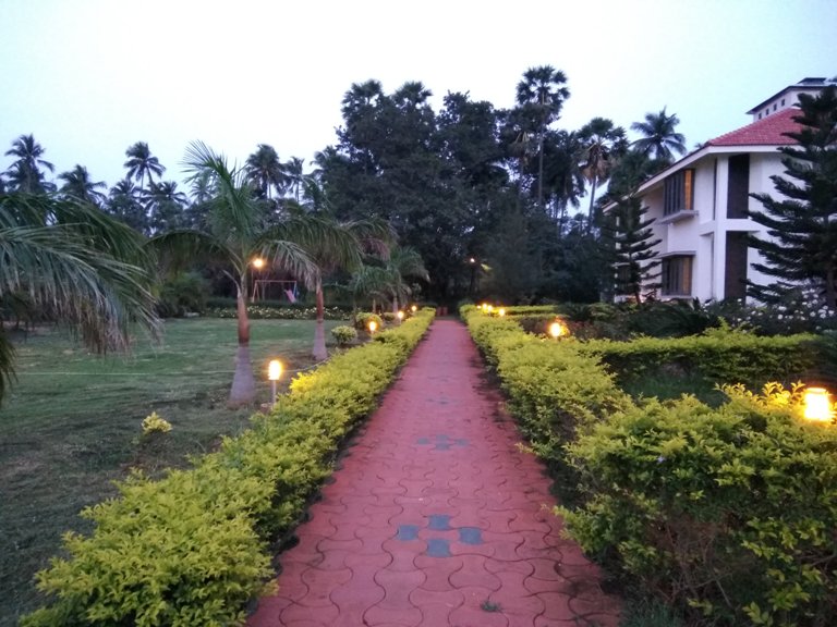 Coolpad Note 5 camera sample