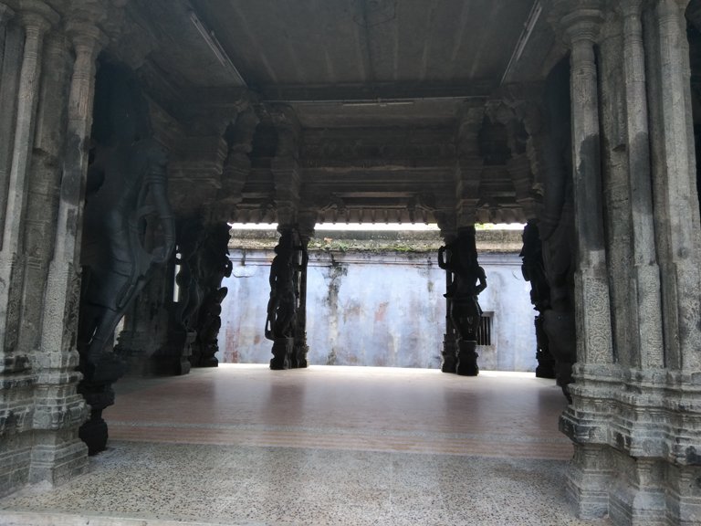 Coolpad Note 5 camera sample