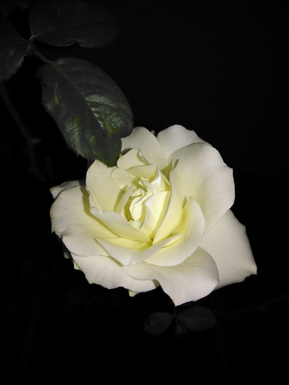 Coolpad Note 5 camera sample