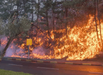 Israel: Wildfires rage across Haifa forcing residents to flee