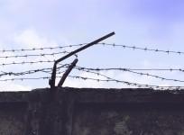 Prison break