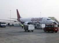 spicejet q3 results, spicejet q3 earnings, spicejet share price, spicejet boeing deal, jet airways, domestic air traffic, indigo, indian civil aviation