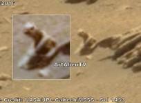 Alien reptile spotted on Mars