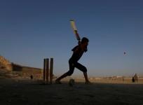 cricket