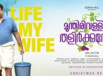 Munthirivallikal Thalirkkumbol