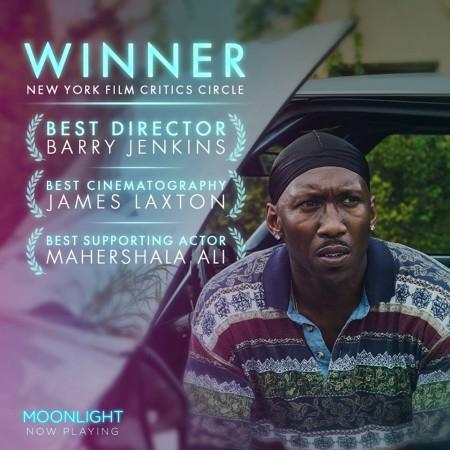 Moonlight Moonlight