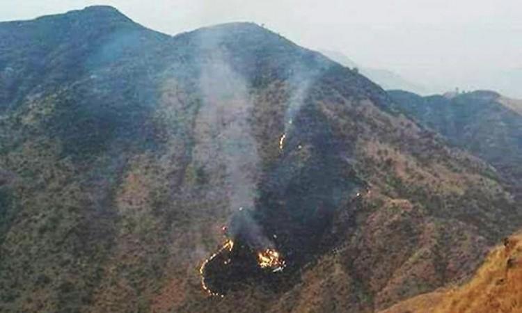 The confirmed site of the crash PIA Crash site