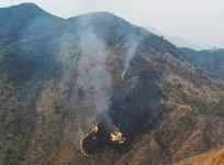 PIA Crash site