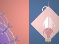 Drug that stops the spread of cancer has been developed