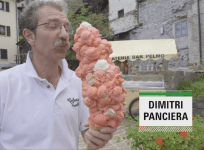Dimitri Panciera