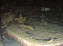 New footage shows interior of USS Arizona battleship bombed in Pearl Harbor attack