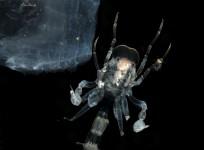 Weird marine creatures