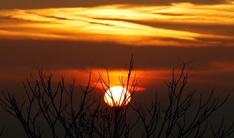 The sun rises behind a tree above the Paris region in France