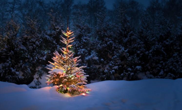 Christmas spirit
