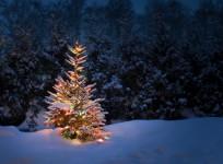 Christmas spirit