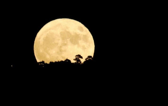 The supermoon rises behind trees in Tbilisi, Georgia November 14, 2016. Supermoon 2016
