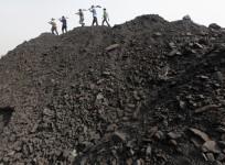 coal india results q2 net profit sales down