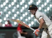 David Warner