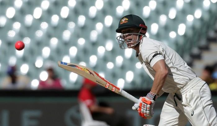 David Warner will be a key batsman for Australia in the series. David Warner