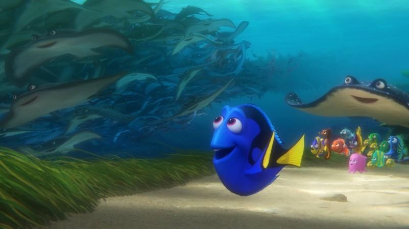 Finding Dory Finding Dory