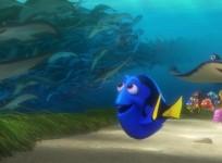 Finding Dory