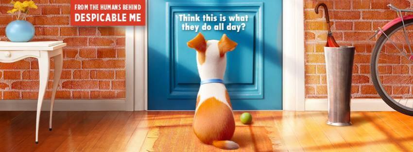 The Secret life of Pets The Secret life of Pets