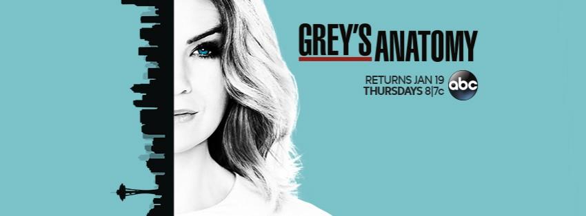 Pictured: The poster for Season 13 of Grey's Anatomy. Grey's Anatomy