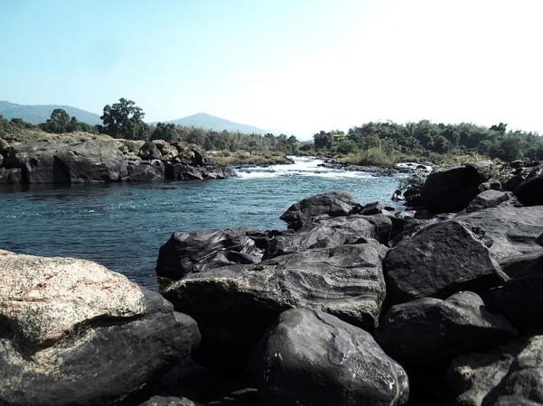 Periyar River