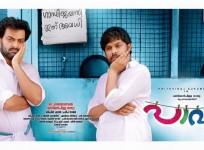 Paavada movie review